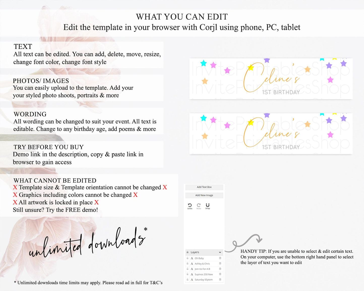 Twinkle Stars Water Label Template Pastel Twinkle Little Star Party Decor Shooting Star Confetti 1st Birthday Baptism Baby Shower D10397