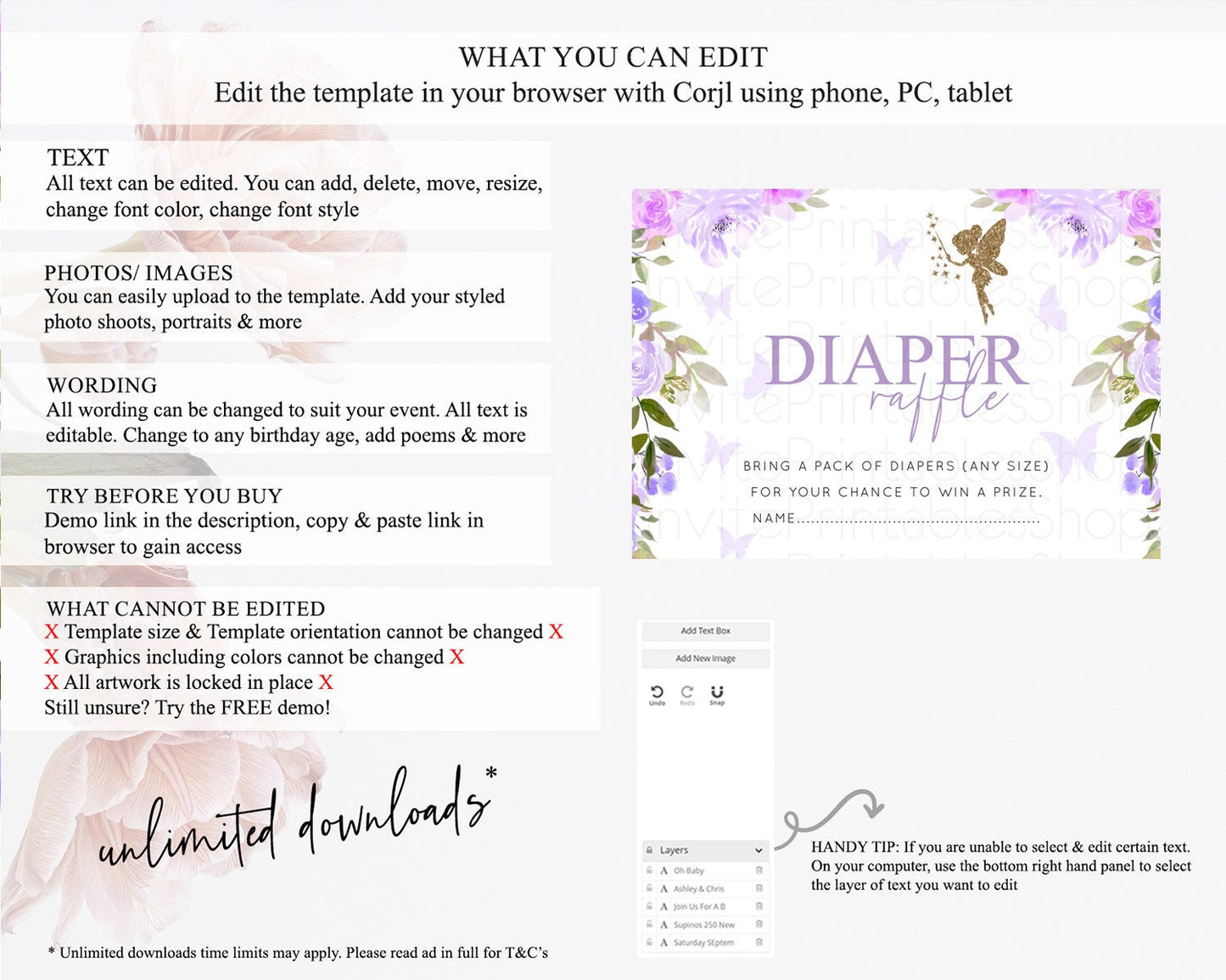 Fairy Diaper Raffle Card Fairy Diaper Insert Enchanted Garden Fairy Diaper Ticket Pastel Floral Butterfly Secret Garden Raffle Game D10910