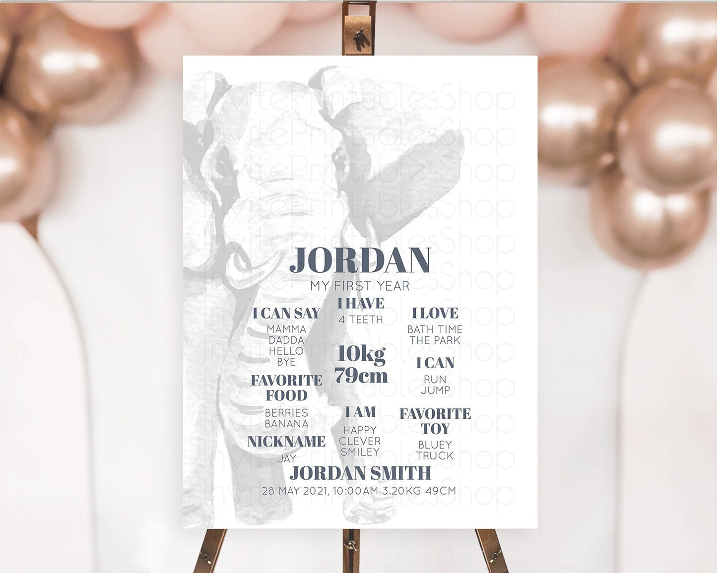 Elephant First Birthday Milestone Board Elephant Milestone Poster One Wild Year Safari Adventure Elephant Zoo Birthday Welcome Sign D10292