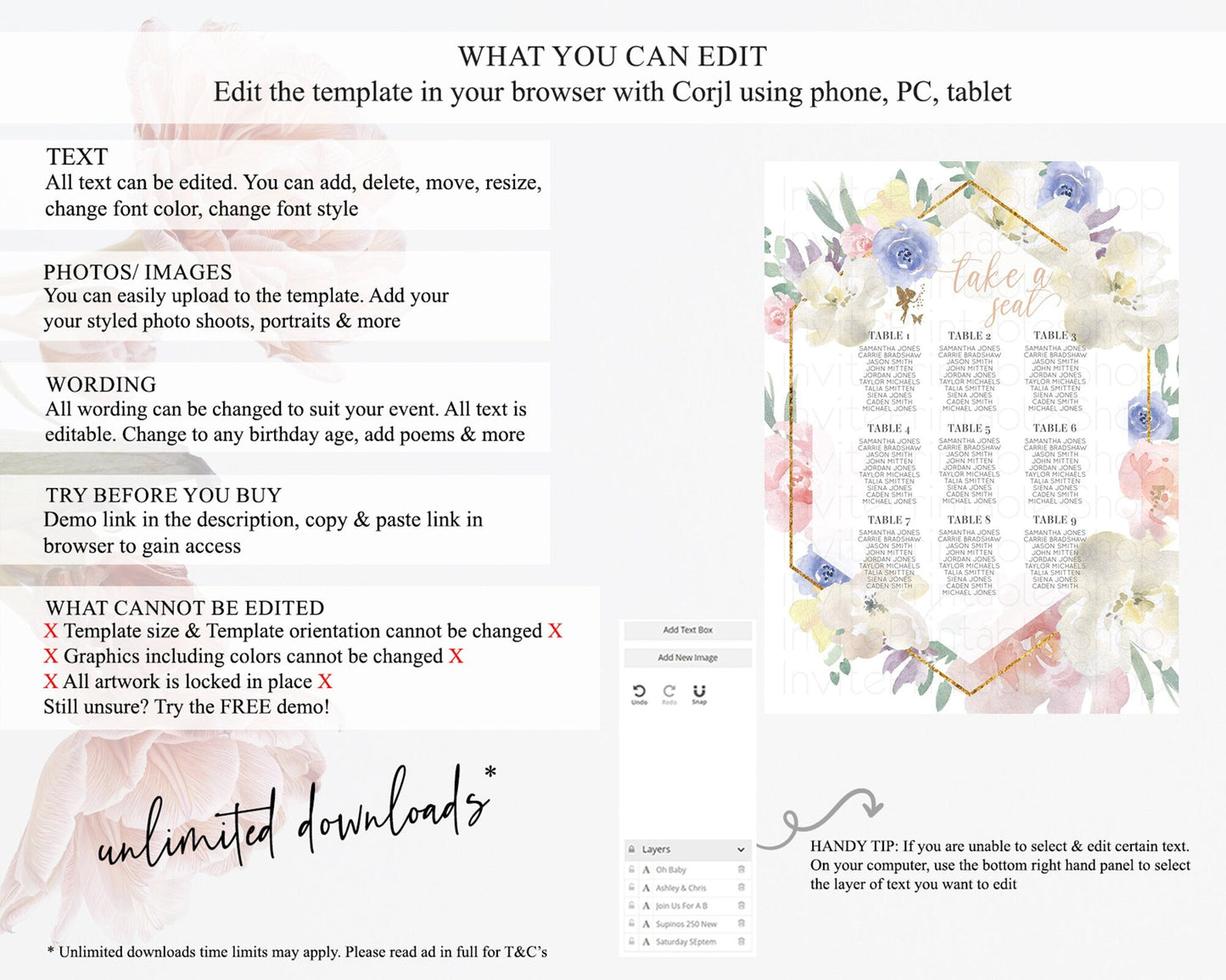 Fairy Seating Chart Pastel Fairy Seating Chart Fairy Tea Party Fairy Garden Seating Sign Enchanted Garden Floral Butterfly Decor D10829