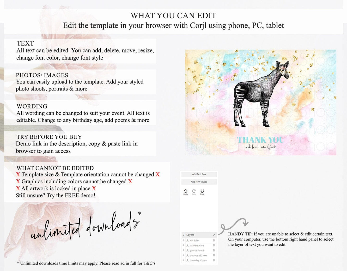 Pastel Okapi Thank You Rainbow Okapi Thank You Card Colorful Rainbow Birthday Thank You Pastel Okapi Teacher Thank You Card Template D10282