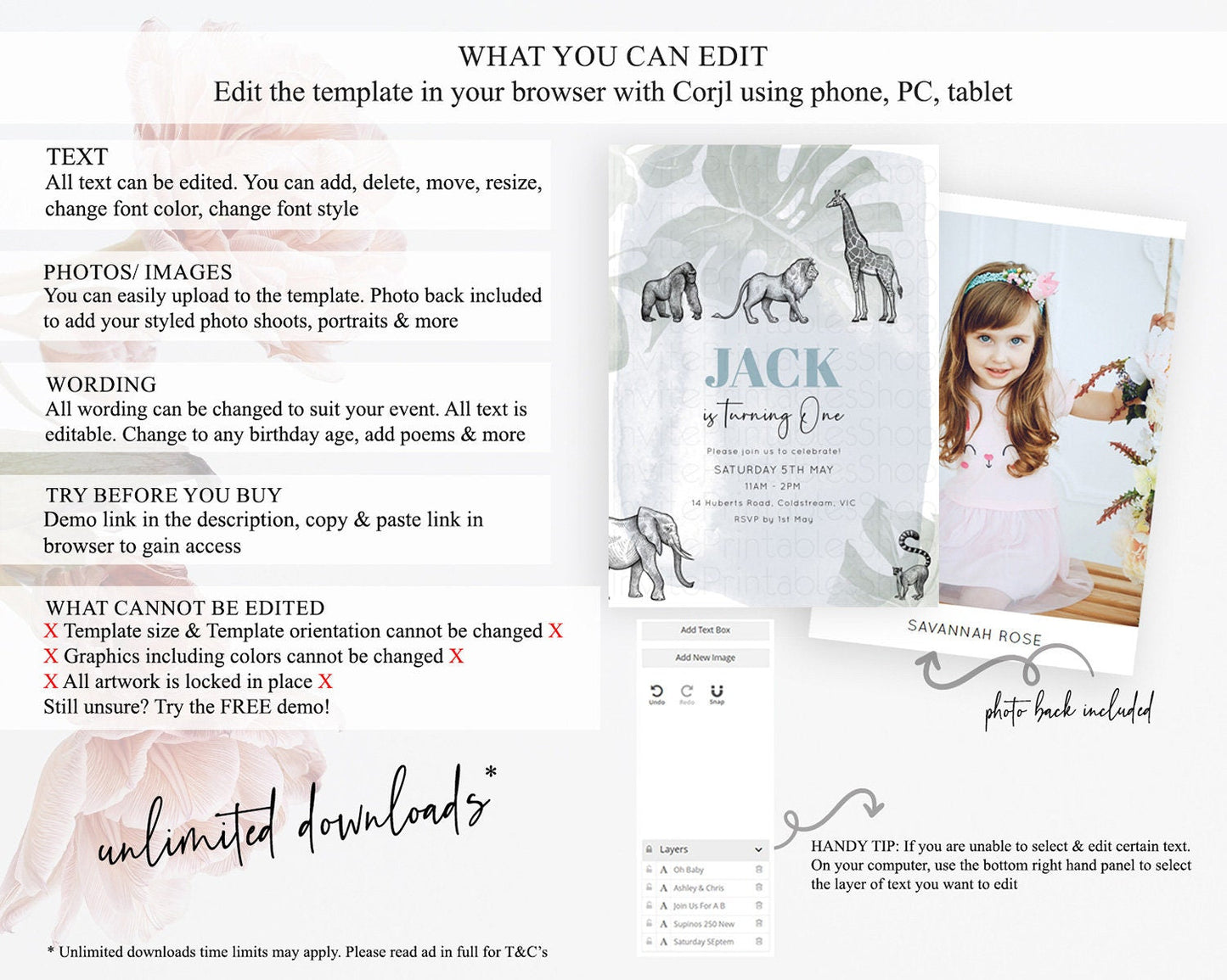 Safari Birthday Invitation Lion Gorilla Elephant Rhino Tropical Palm Jungle Safari Adventure Zoo Party Animal 2nd 1st First Birthday D10821