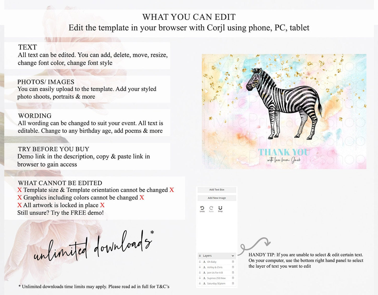 Pastel Zebra Thank You Rainbow Zebra Thank You Card Colorful Rainbow Birthday Thank You Pastel Zebra Teacher Thank You Card Template D10281