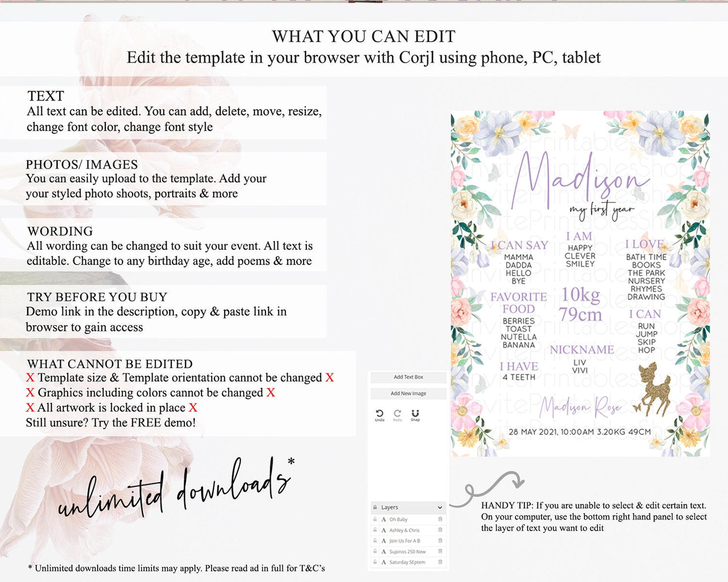 Fawn First Birthday Milestone Board Deer First Birthday Milestone Poster Enchanted Forest Butterfly Pastel Flowers 1st Birthday Sign D10477
