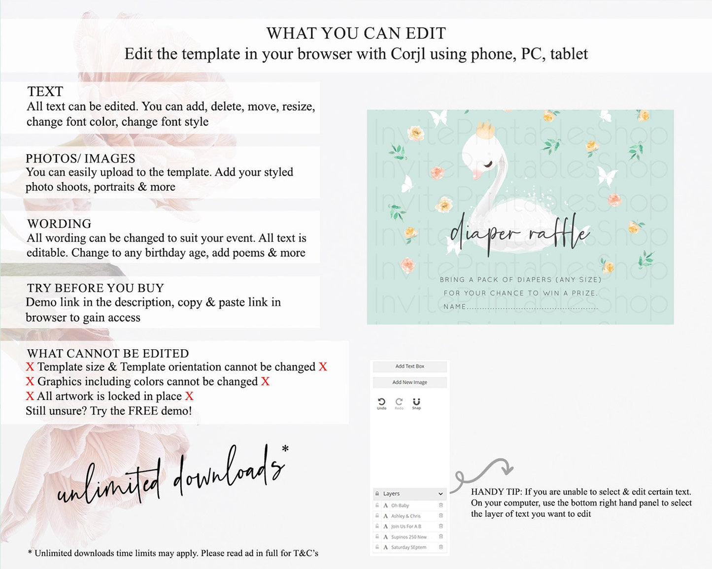 Swan Diaper Raffle Card Swan Princess Ballet Diaper Raffle Insert Enchanted Swan Lake Diaper Ticket Secret Garden Floral Raffle Game D10905