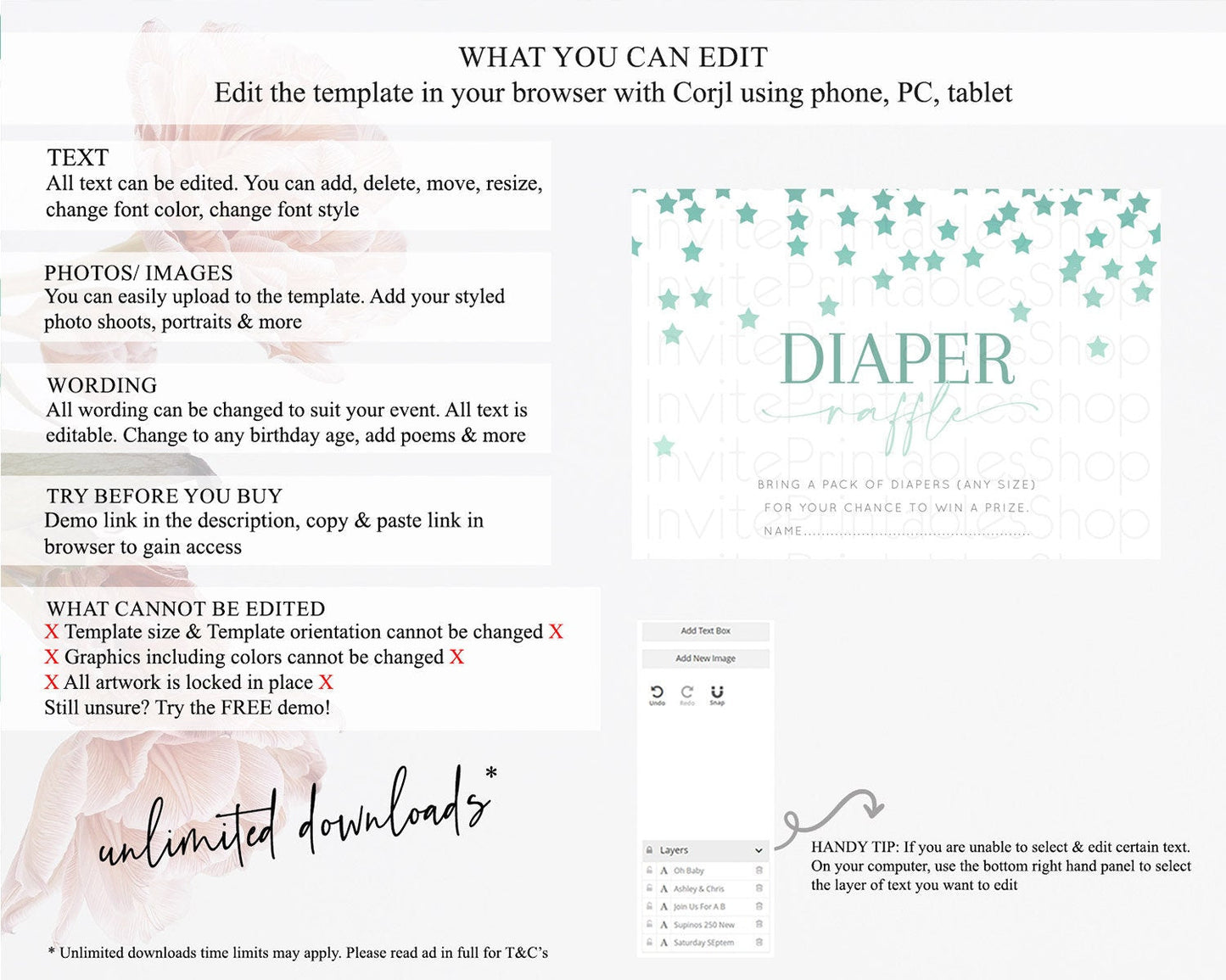 Pastel Star Diaper Raffle Card Shooting Star Diaper Raffle Insert Twinkle Little Star Diaper Ticket Rainbow Confetti Raffle Game D10310