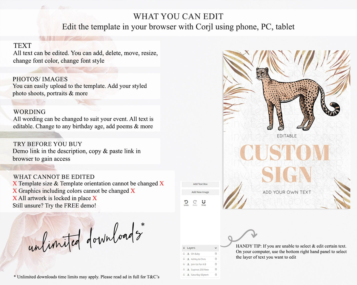 Cheetah Sign Cheetah Party Sign Template Safari Adventure Table Sign Decor Cheetah Minimal Theme 1st Birthday Baptism Baby Shower D10291