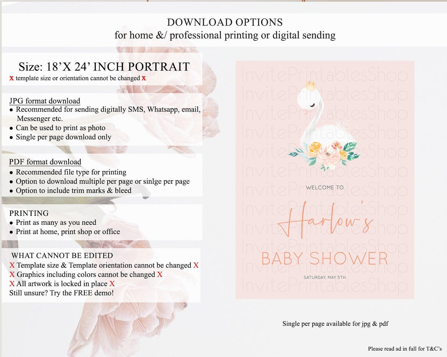 Swan Baby Shower Welcome Board Swan Princess Ballet Welcome Sign Enchanted Swan Lake Secret Garden Pastel Floral Swan Welcome Sign D10388