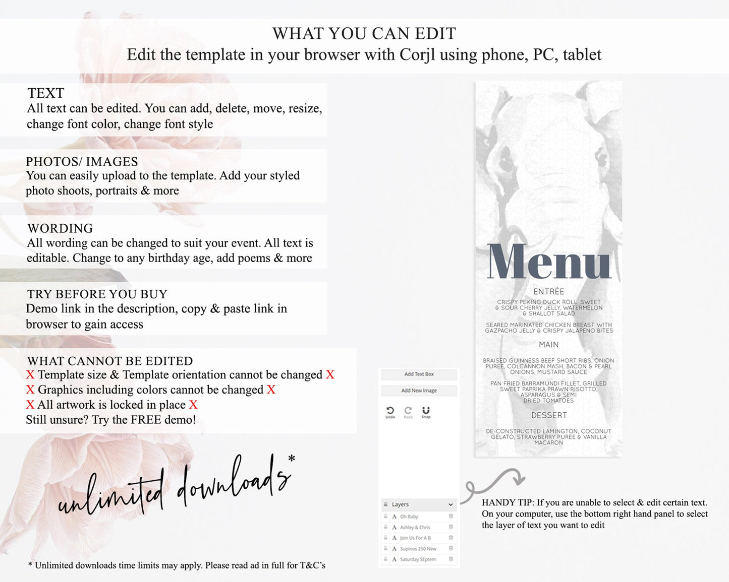 Elephant Menu Elephant Menu Template Elephant Safari Zoo Table Decor Elephant Dinner Dessert Menu Elephant Party Food Menu D10292