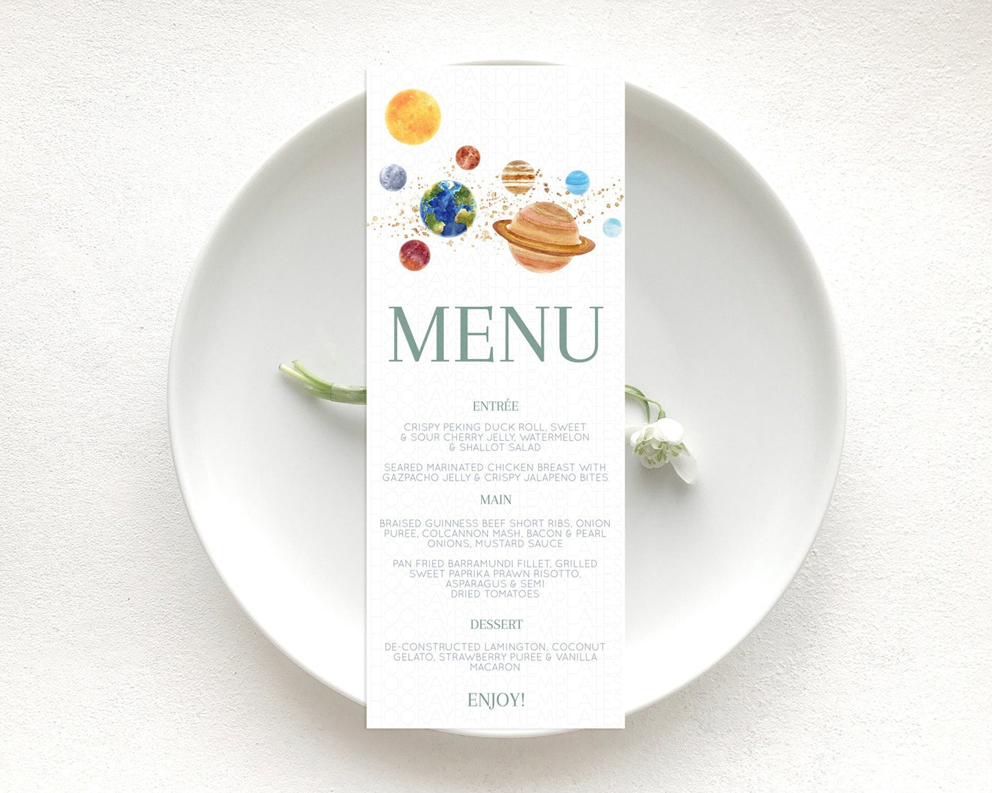 Space Menu Space Menu Template First Trip Around the Sun Table Decor Planets Solar System ONE year Food Menu Dinner Dessert Menu D10598