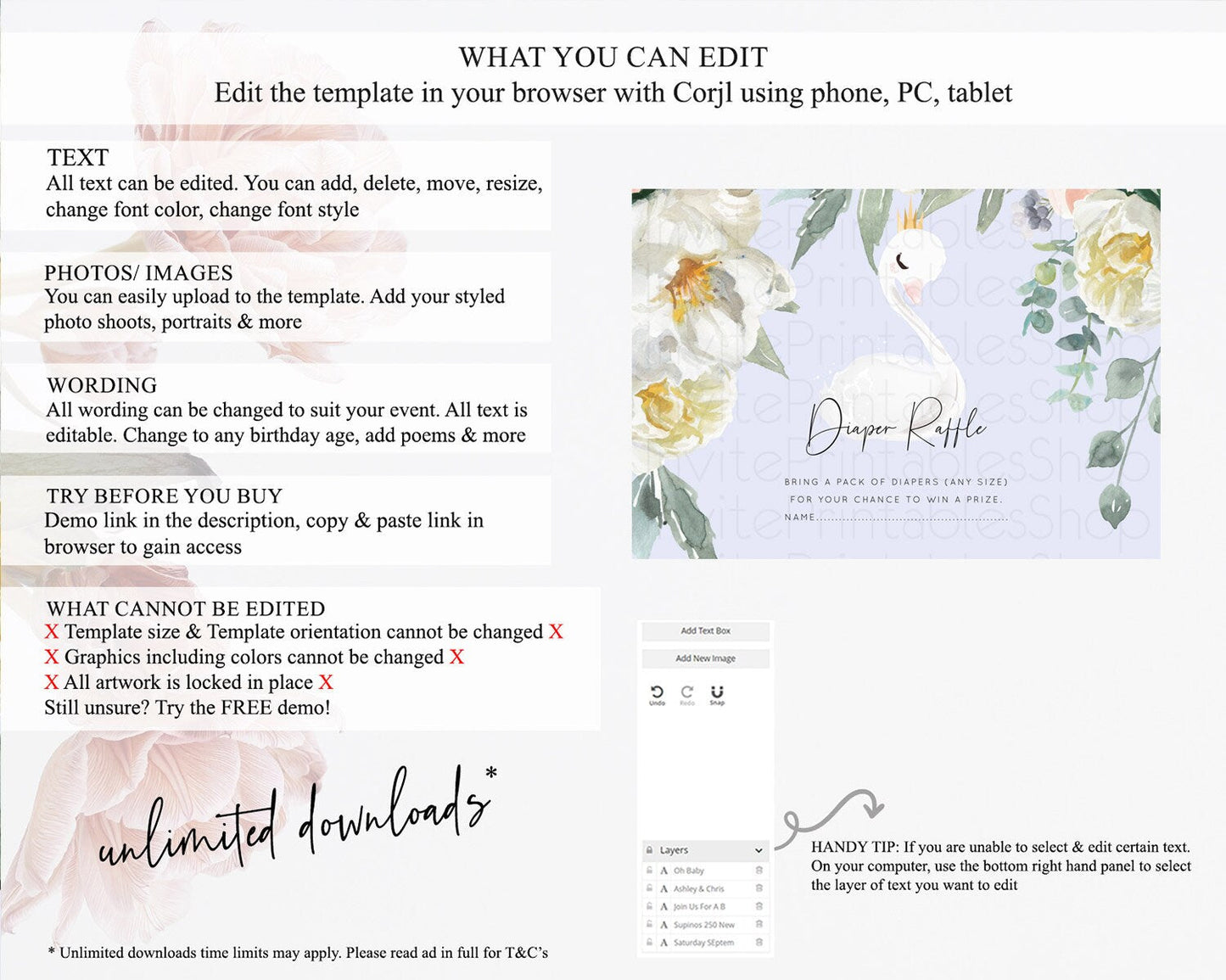 Swan Diaper Raffle Card Swan Princess Ballet Diaper Raffle Insert Enchanted Swan Lake Diaper Ticket Secret Garden Floral Raffle Game D10756