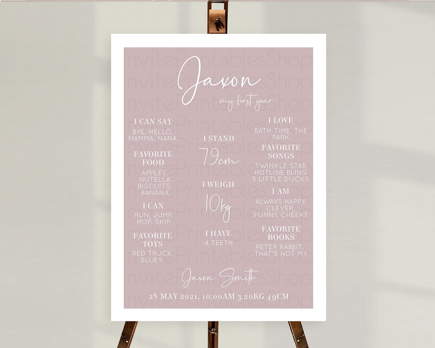 Pink First Birthday Milestone Poster Plain Pink Milestone Board Minimalist Pastel Pink Milestone Modern 1st Birthday Welcome Sign D10936