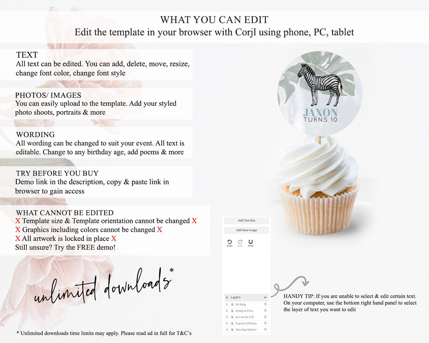Zebra Cupcake Toppers Zebra Cupcake Zebra Take A Cupcake Toppers Zebra Safari Decor Zoo Party Zebra Palm Leaf Decor First Birthday D10814