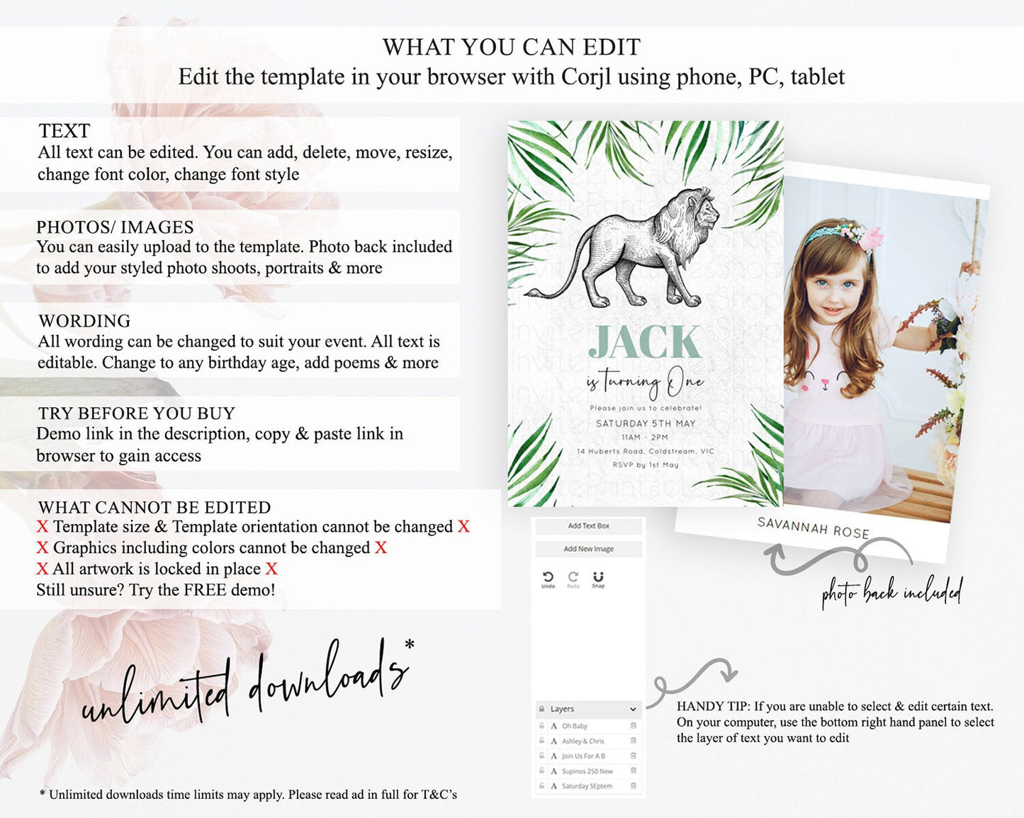 Lion Birthday Invitation Lion Invitation Modern Safari Lion Party 2 Wild 1 Safari Adventure Zoo Birthday Minimalist Lion Invites D10845