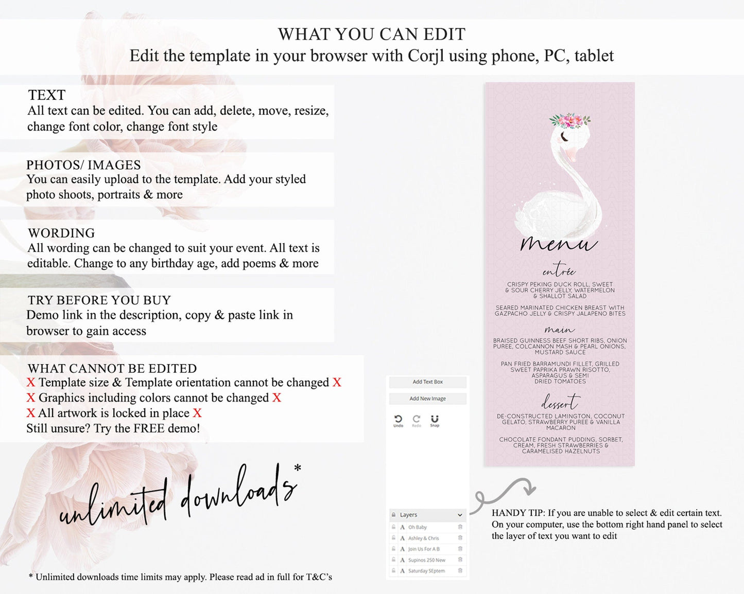 Swan Menu Swan Princess Ballet Menu Template Enchanted Swan Lake Table Decor Secret Garden Pastel Floral Dinner Dessert Food Menu D10758