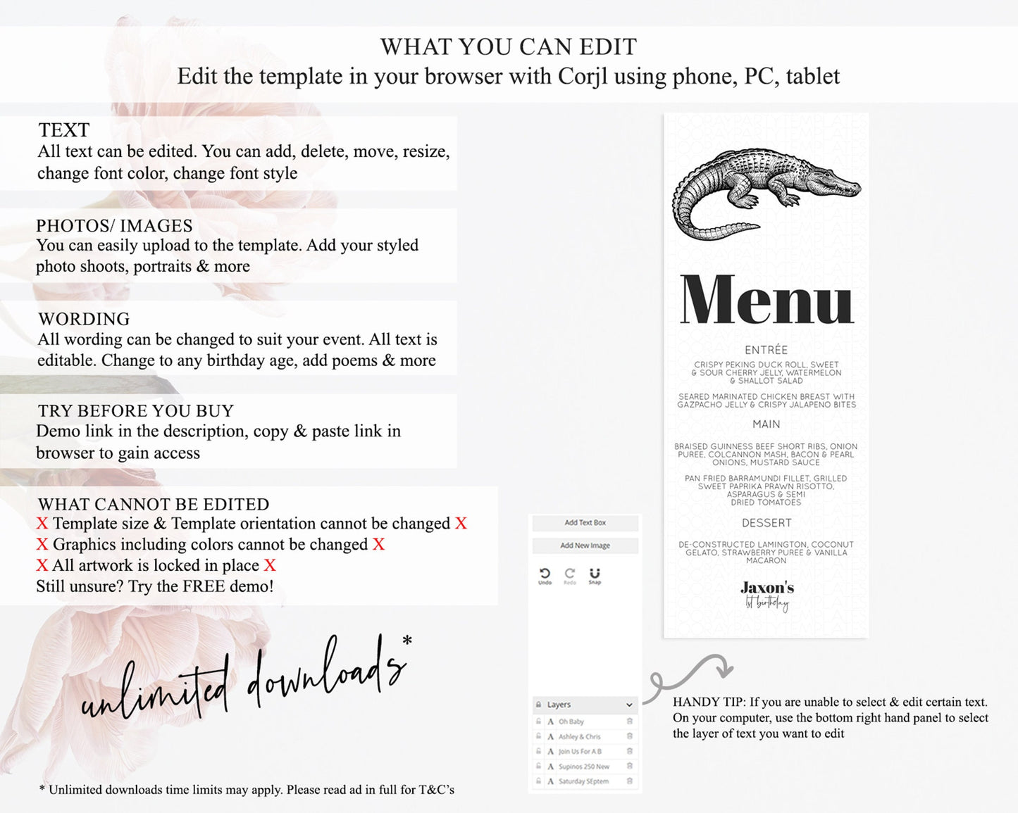 Crocodile Menu Alligator Menu Template Croc Gator Table Decor Croc Gator Dinner Dessert Menu Croc Gator Birthday Party Food Menu D10286