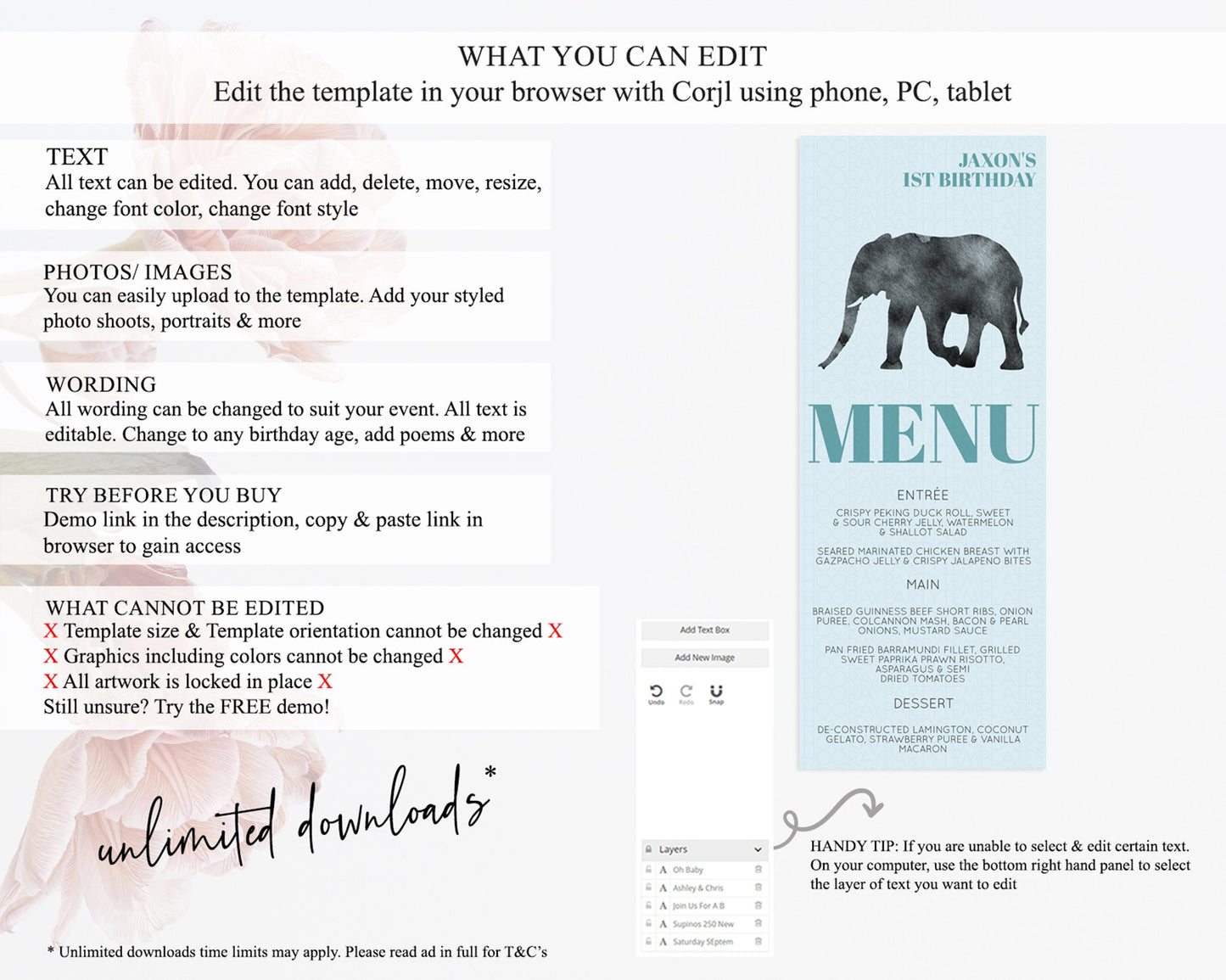 Elephant Menu Elephant Menu Template Elephant Safari Zoo Table Decor Elephant Dinner Dessert Menu Elephant Party Food Menu D10802