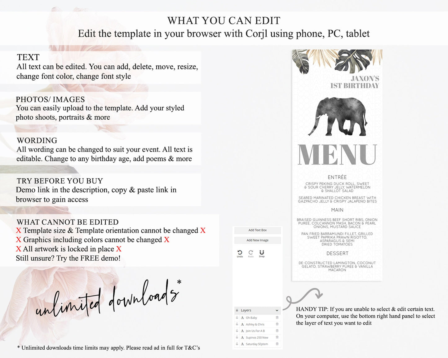 Elephant Menu Elephant Menu Template Elephant Safari Zoo Table Decor Elephant Dinner Dessert Menu Elephant Party Food Menu D10803