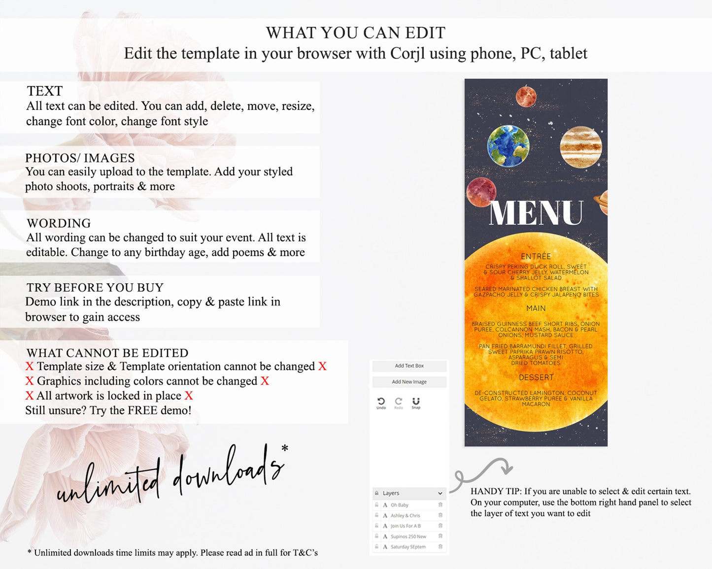 Space Menu Space Menu Template First Trip Around the Sun Table Decor Planets Solar System ONE year Food Menu Dinner Dessert Menu D10430