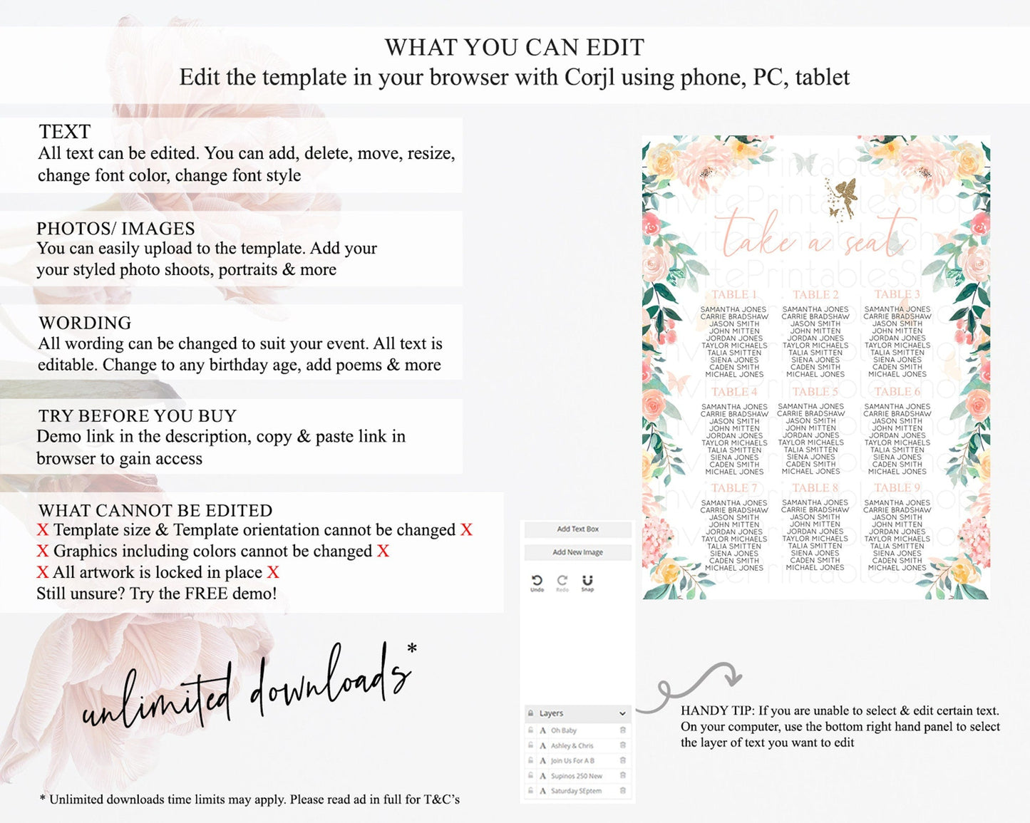Fairy Seating Chart Pastel Fairy Seating Chart Fairy Tea Party Fairy Garden Seating Sign Enchanted Garden Floral Butterfly Decor D10789