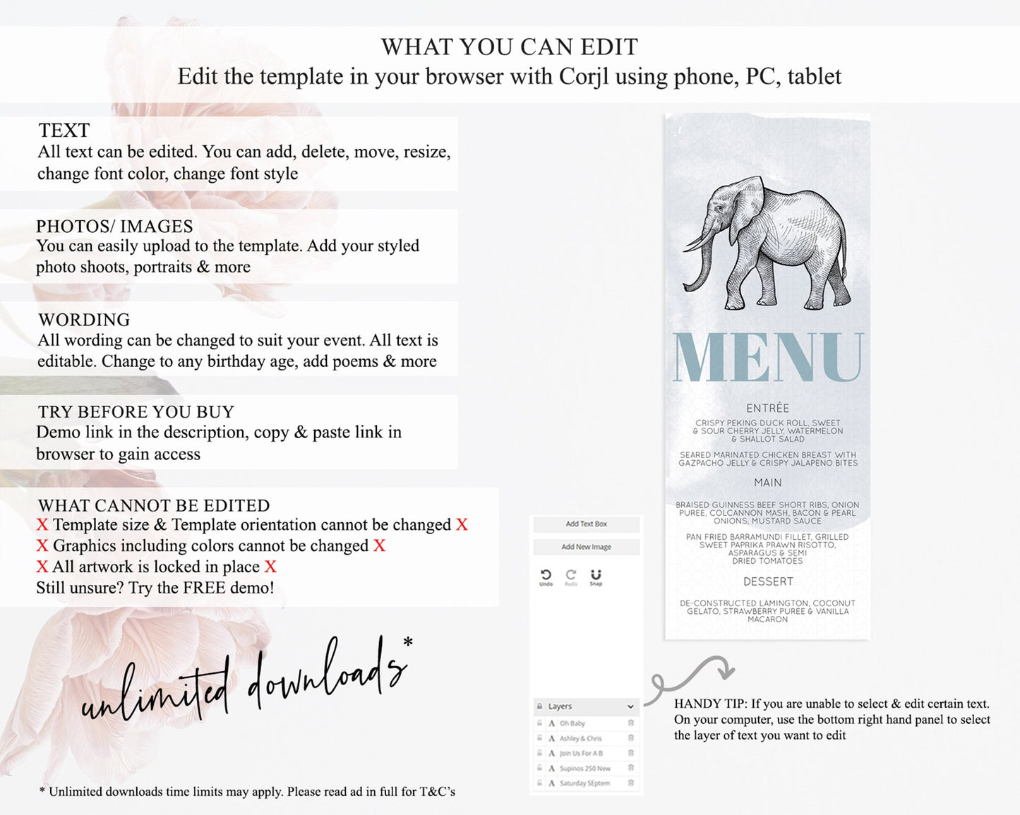 Elephant Menu Elephant Menu Template Elephant Safari Zoo Table Decor Elephant Dinner Dessert Menu Elephant Party Food Menu D10811