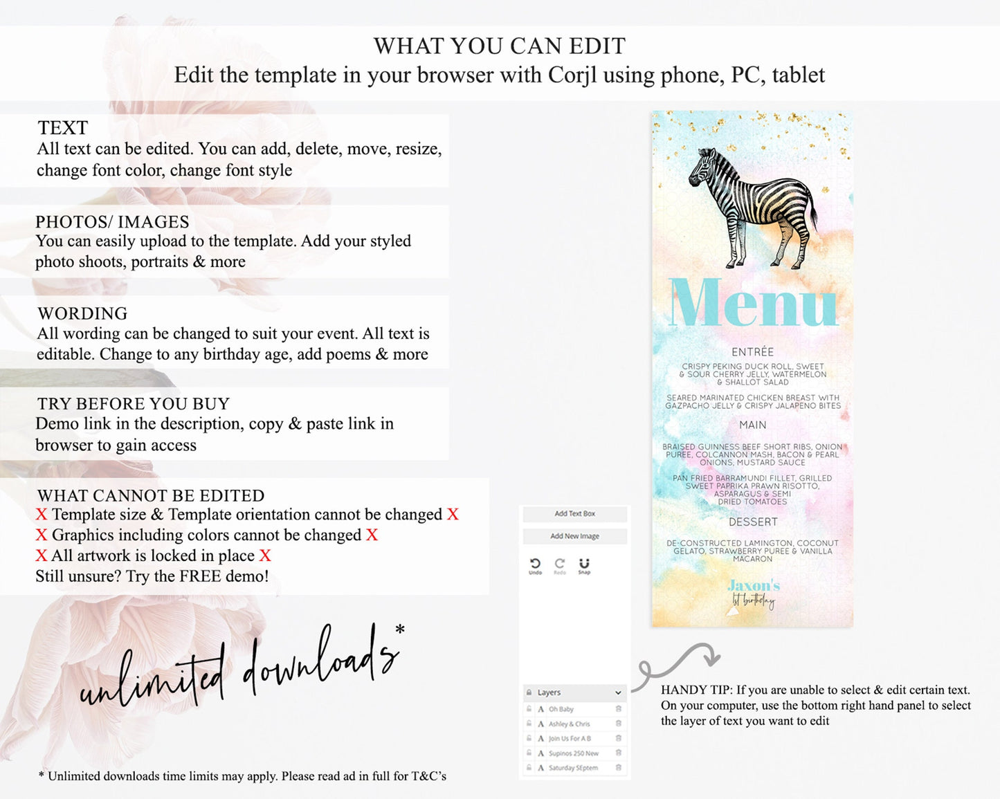 Pastel Zebra Menu Rainbow Zebra Menu Template Colorful Rainbow Table Decor Pastel Dinner Dessert Menu Zebra Party Food Menu D10281