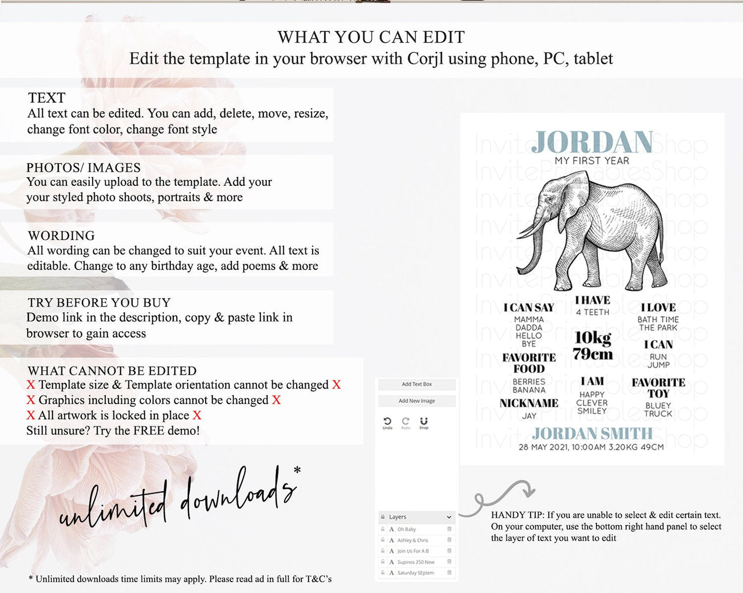 Elephant First Birthday Milestone Board Elephant Milestone Poster One Wild Year Safari Adventure Elephant Zoo Birthday Welcome Sign D10248