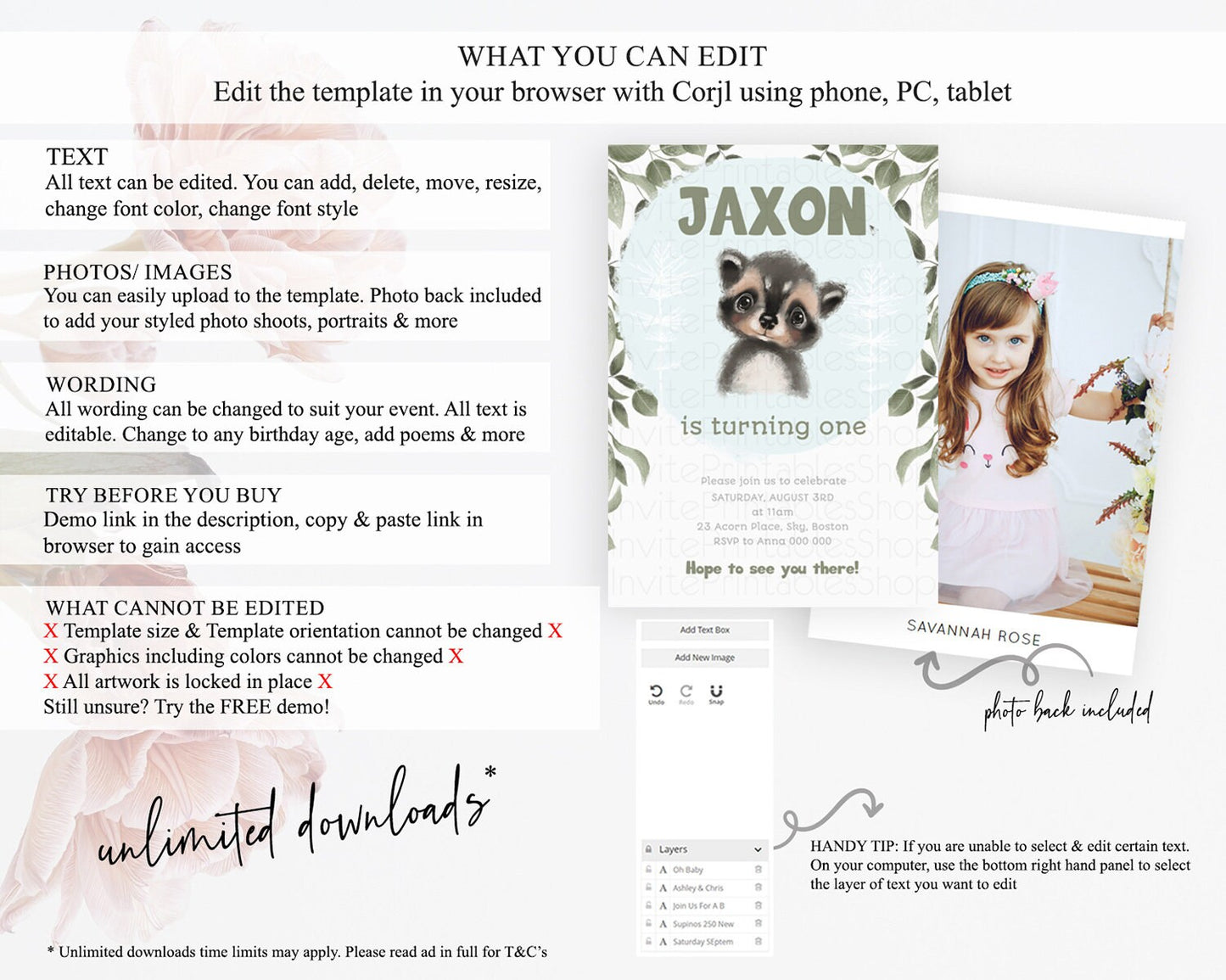 Raccoon Birthday Invitation Raccoon Invite Enchanted Forest Adventure Birthday Woodland Invitation Baby Raccoon 1st First Birthday D10100