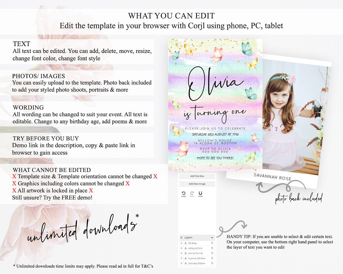 Pastel Butterfly Birthday Invitation Butterfly Birthday Invitation Whimsical Butterfly Enchanted Garden 1st 2nd Birthday Invitation D23169