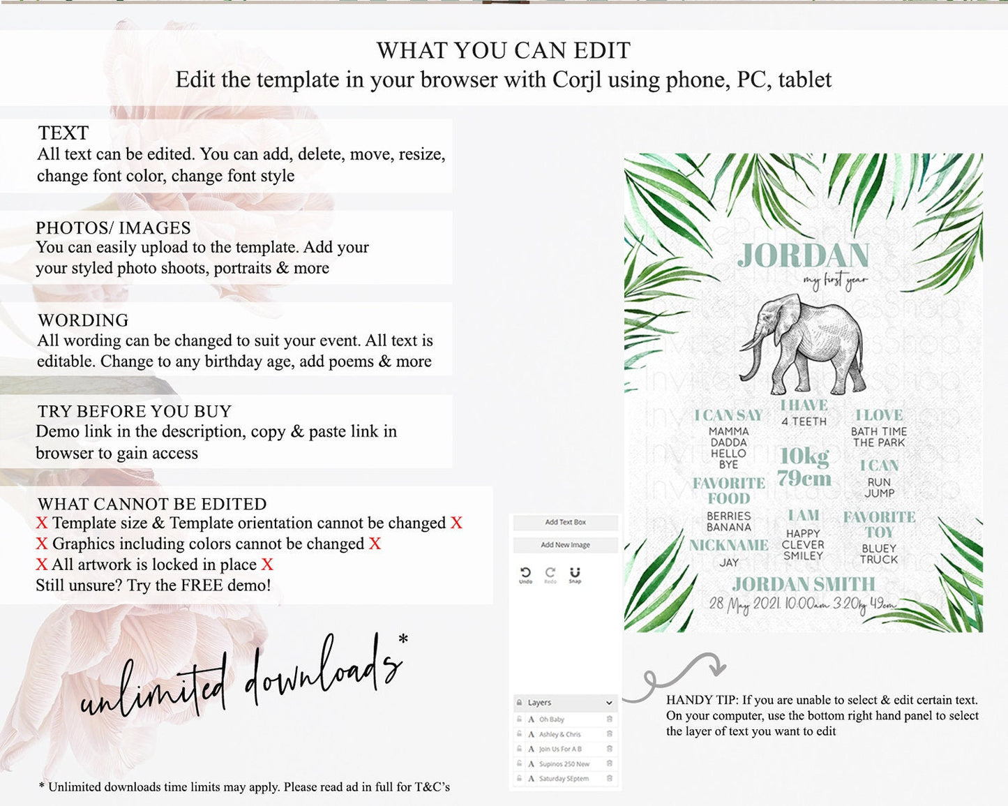 Elephant First Birthday Milestone Board Elephant Milestone Poster One Wild Year Safari Adventure Elephant Zoo Birthday Welcome Sign D10850