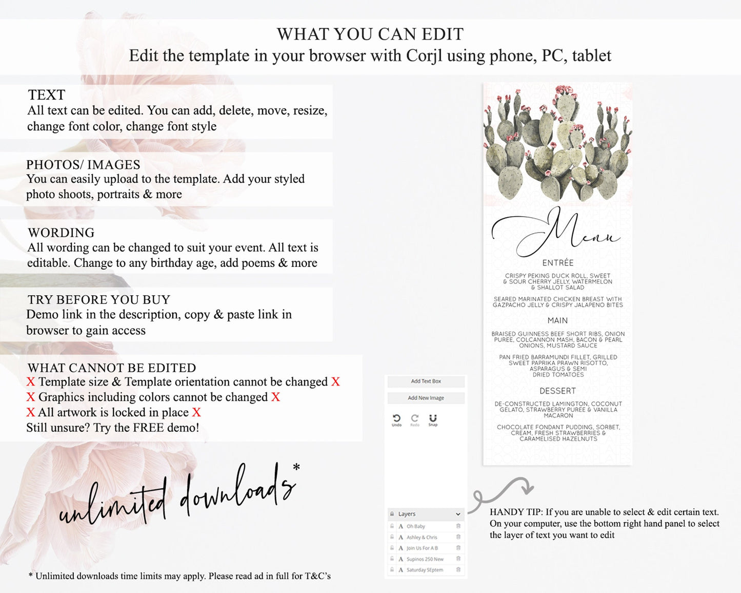 Prickly Pear Menu Template Prickly Pear Menu Cactus Table Decor Tropical Fiesta Party Cactus Dinner Dessert Food Menu D11052