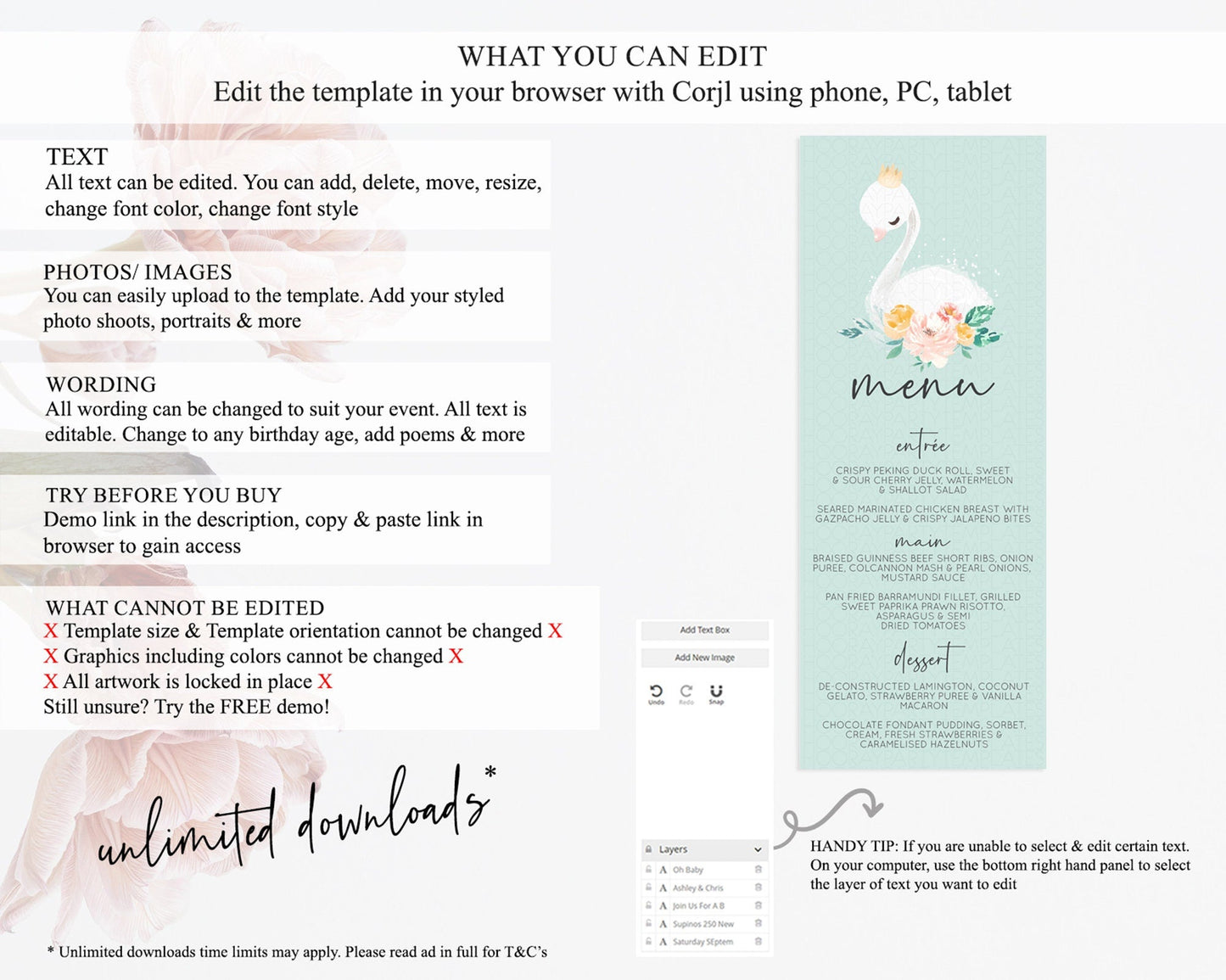 Swan Menu Swan Princess Ballet Menu Template Enchanted Swan Lake Table Decor Secret Garden Pastel Floral Dinner Dessert Food Menu D10905