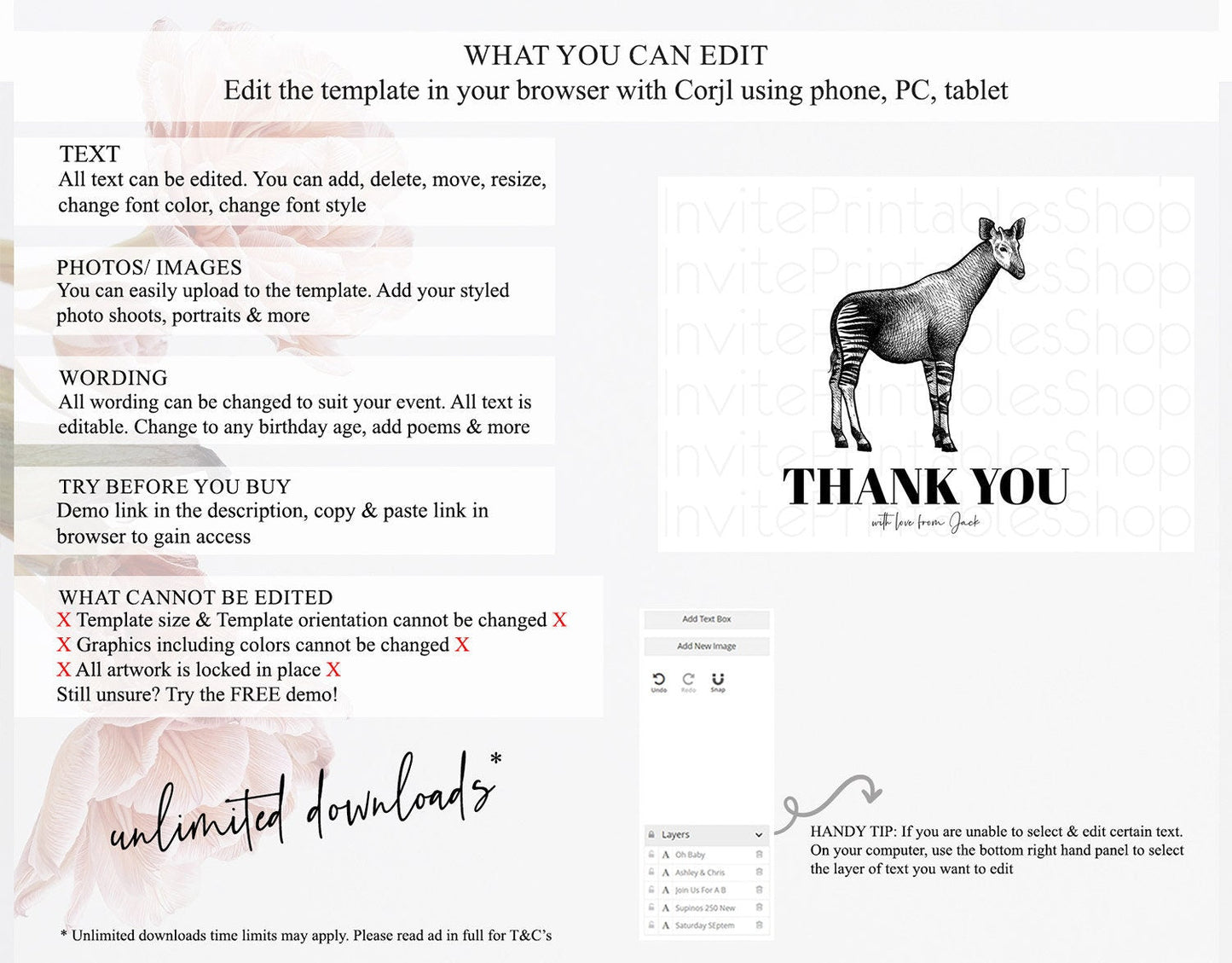 Okapi Thank You Okapi Thank You Card Okapi Party Cards Birthday Thank You Card Safari Card Template Okapi Teacher Thank You Cards D10283