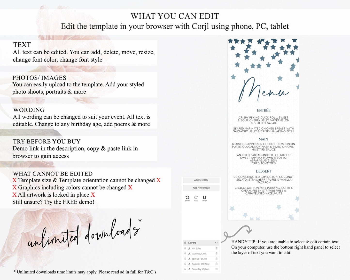 Star Menu Template Pastel Stars Menu Shooting Star Twinkle Little Star Decor Rainbow Colorful Confetti Dinner Dessert Food Menu D10308