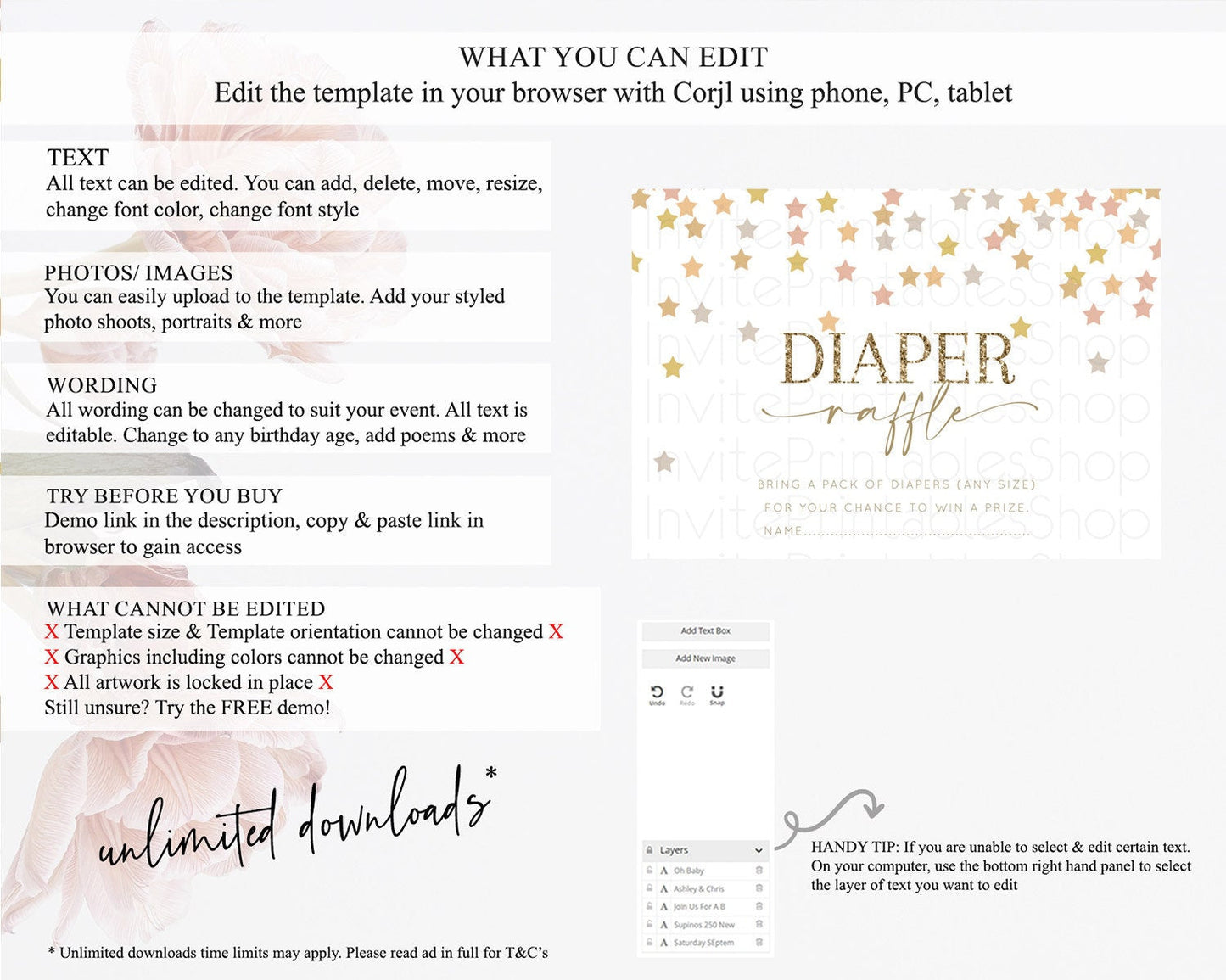 Pastel Star Diaper Raffle Card Shooting Star Diaper Raffle Insert Twinkle Little Star Diaper Ticket Rainbow Confetti Raffle Game D10342