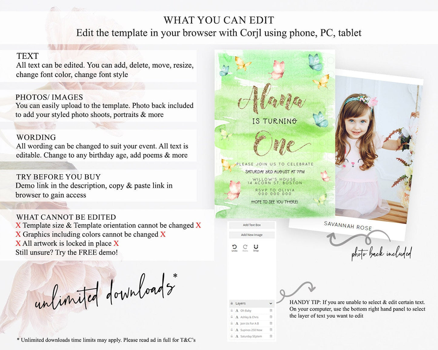 Pastel Butterfly Birthday Invitation Butterfly Birthday Invitation Colorful Splash Glitter Butterfly Garden 1st 2nd Birthday D23234