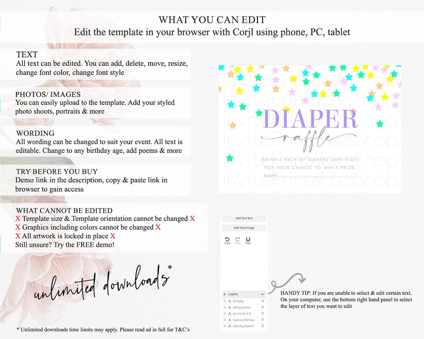 Pastel Star Diaper Raffle Card Shooting Star Diaper Raffle Insert Twinkle Little Star Diaper Ticket Rainbow Confetti Raffle Game D10395