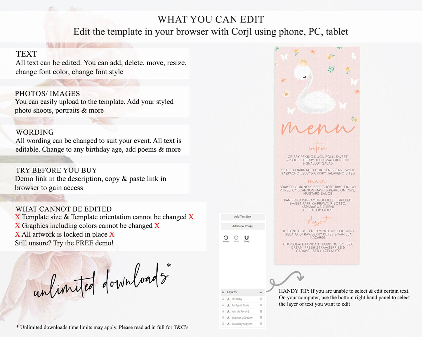 Swan Menu Swan Princess Ballet Menu Template Enchanted Swan Lake Table Decor Secret Garden Pastel Floral Dinner Dessert Food Menu  D10388