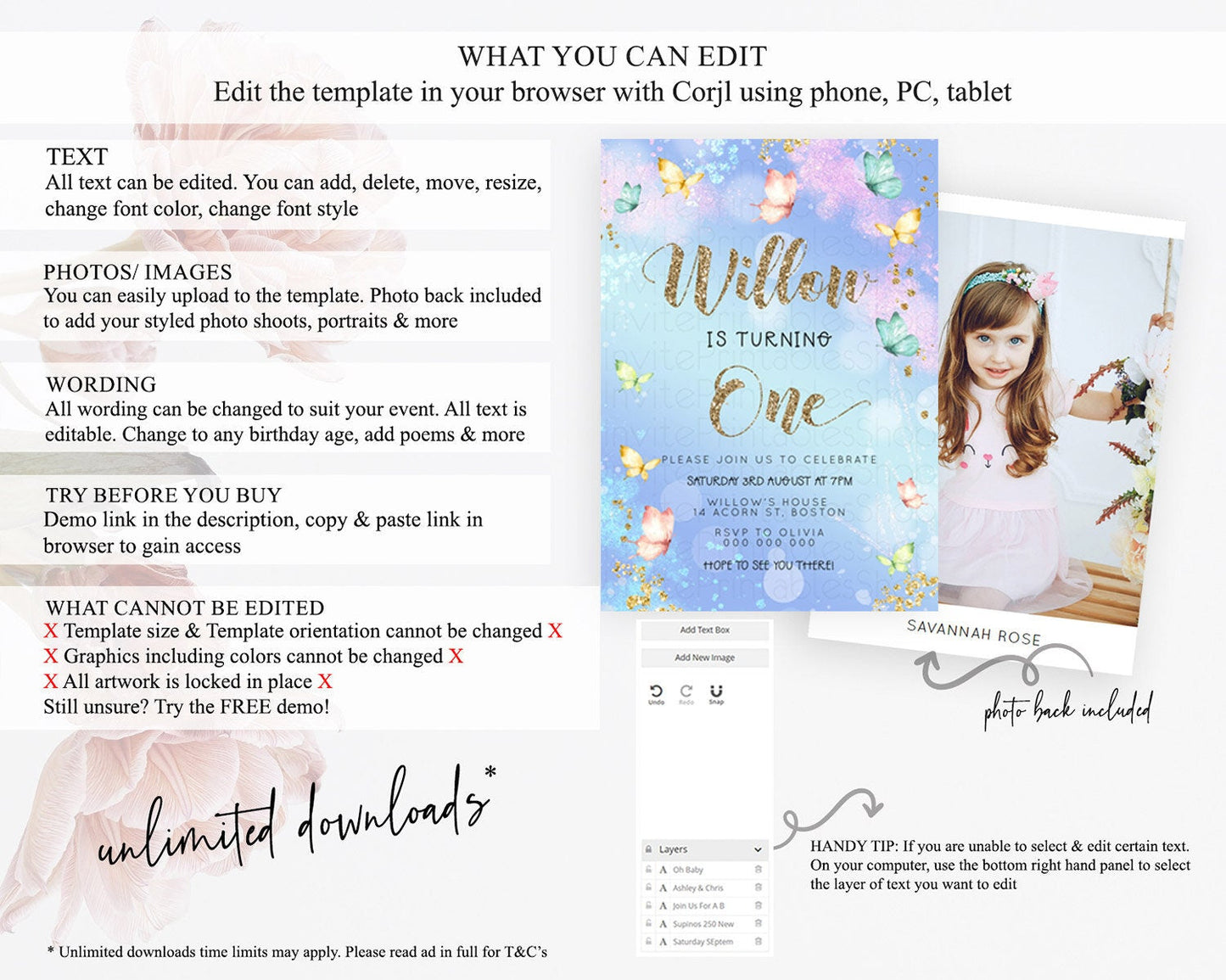 Pastel Butterfly Birthday Invitation Butterfly Birthday Invitation Colorful Splash Glitter Butterfly Garden 1st 2nd Birthday D23088