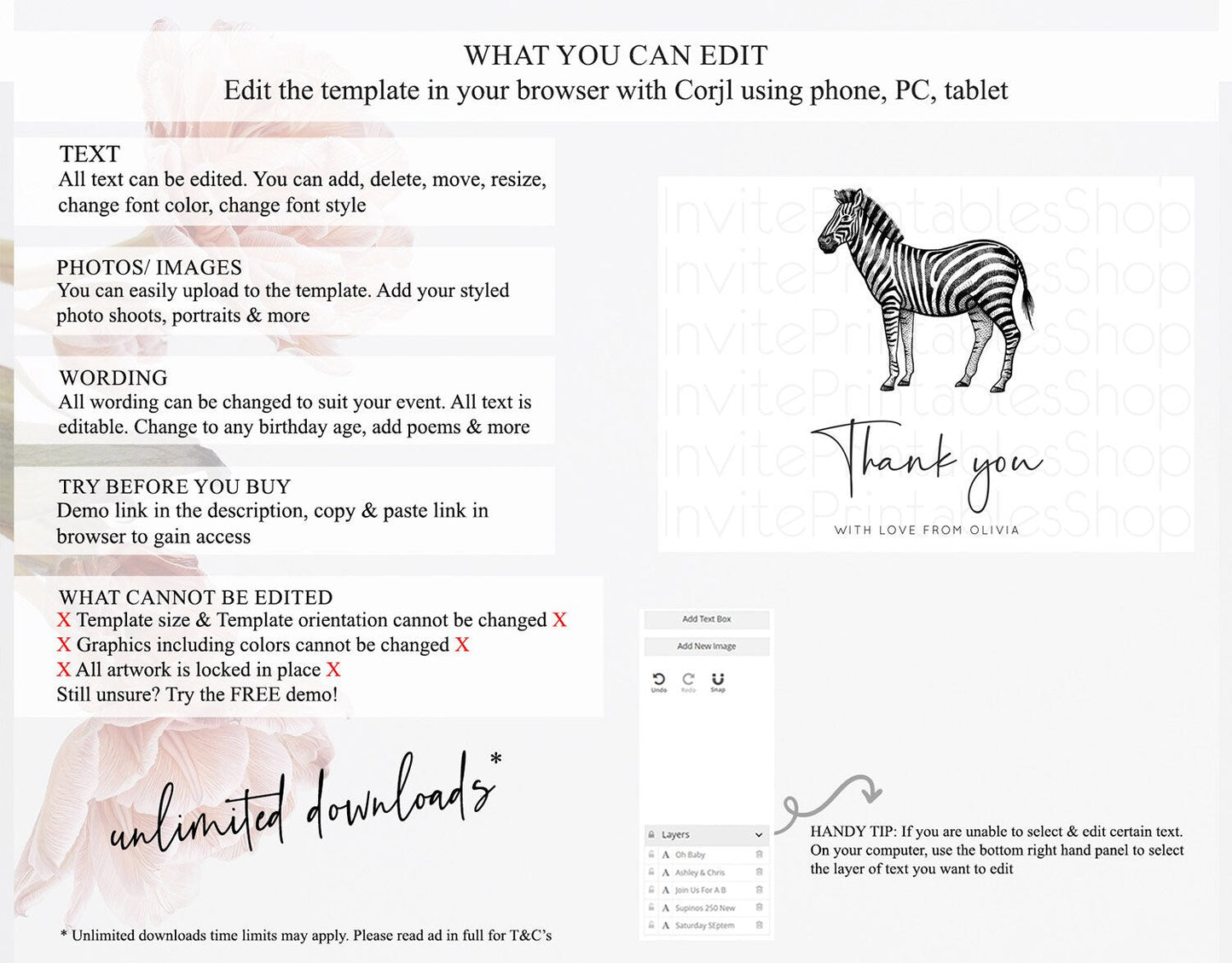 Zebra Thank You Zebra Thank You Card Zebra Birthday Thank You Cards Safari Dried Palm Fern Zebra Teacher Thank You Card Template D10249