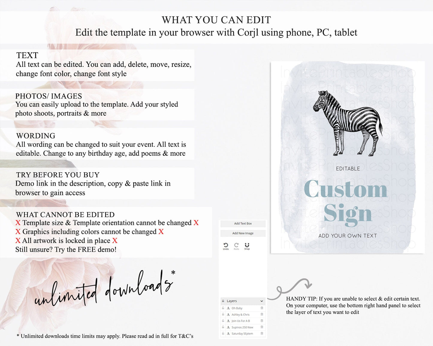 Zebra Sign Zebra Table Sign Decor Zebra Party Sign Template Safari Adventure Zebra Minimal Theme 1st Birthday Baptism Baby Shower D10814