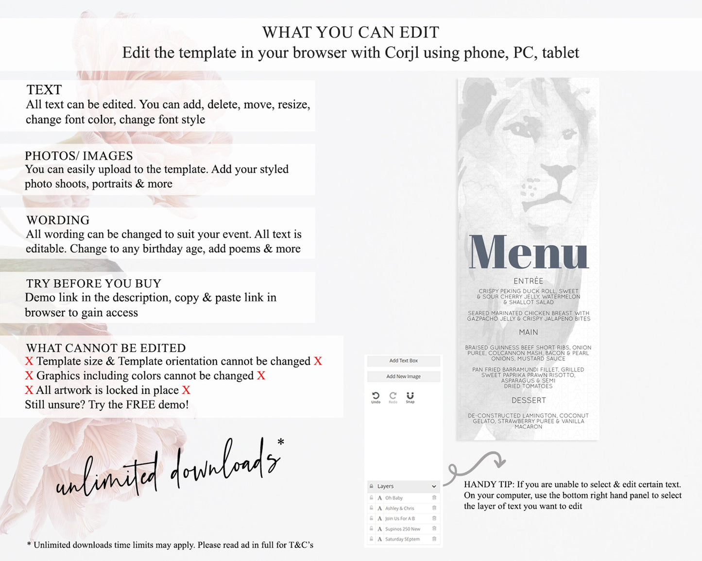 Lion Menu Lion Menu Template Lion Party Table Decor Safari Adventure Lion Menu Dried Palm Fern Lion Dinner Dessert Party Food Menu D10299