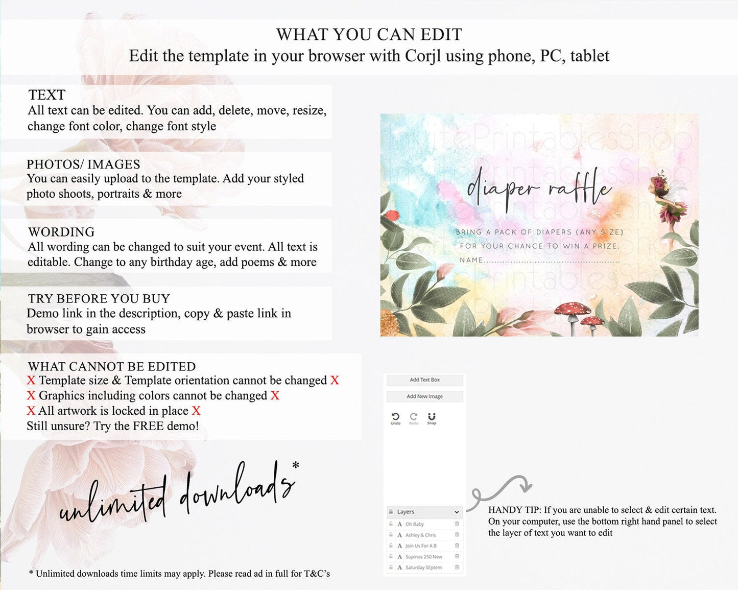 Fairy Diaper Raffle Card Fairy Diaper Insert Enchanted Garden Fairy Diaper Ticket Pastel Floral Butterfly Secret Garden Raffle Game D10555
